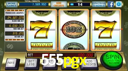 Flash Promotion 555pgx